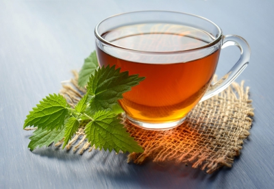 Người đi tìm màu xanh cho đất