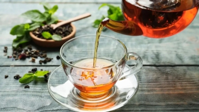 Phát triển chè bền vững phải gắn với nông nghiệp sạch